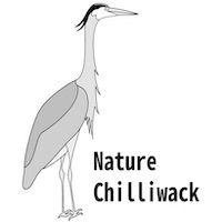 Nature Chilliwack